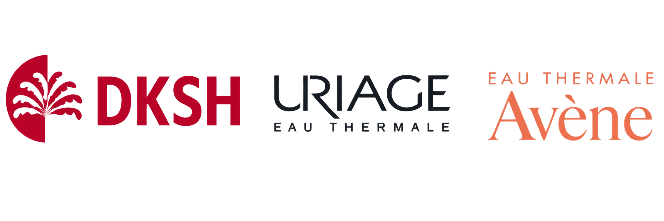 Logo DKSH